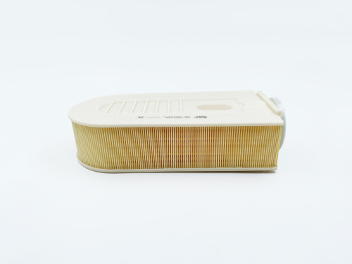 Воздушный фильтр двигателя BIG Filter GB-95033PL, Воздушные фильтры двигателя - фото в магазине СарЗИП